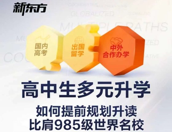 高中生多元升学：如何提前规划升读比肩985级世界名校