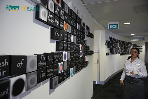 新西兰留学想省成本？新东方国内衔接预科！