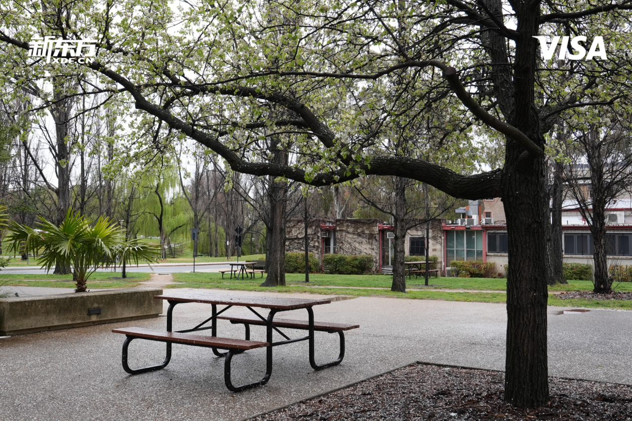 澳大利亚三所名校，三十年时光流转，留学路更向通途