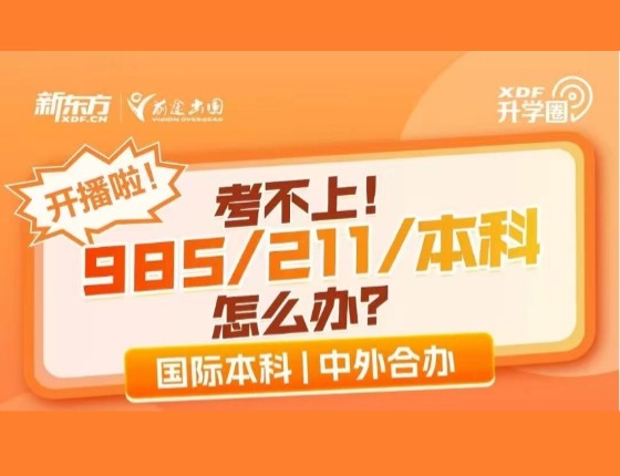 考不上!985/211/本利怎么办?