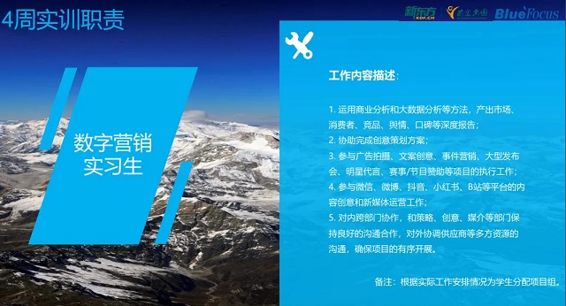 非985/211如何突围？科研实习+多国联申的黄金组合