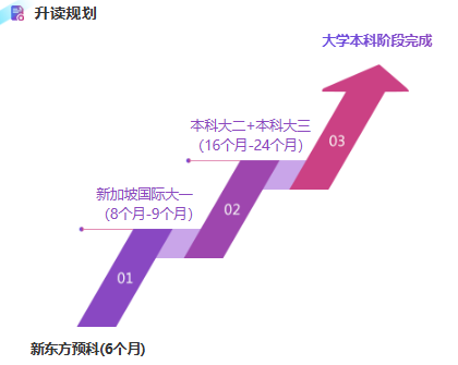 2026高考后想去新加坡？国内预科是 “缓冲器” 更是 “跳板”
