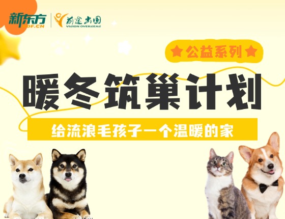 公益系列：暖冬筑巢计划