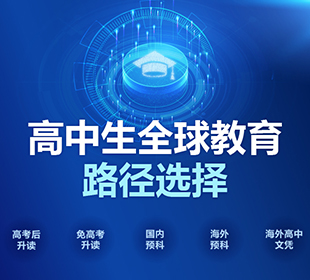 高中生，全球教育路径
