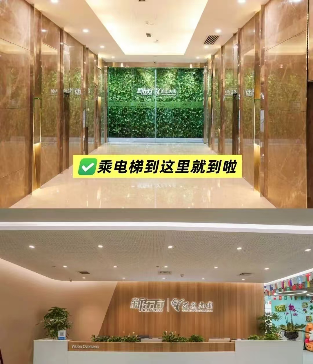  “留学预演”：新东方新加坡预科，为孩子铺就名校路