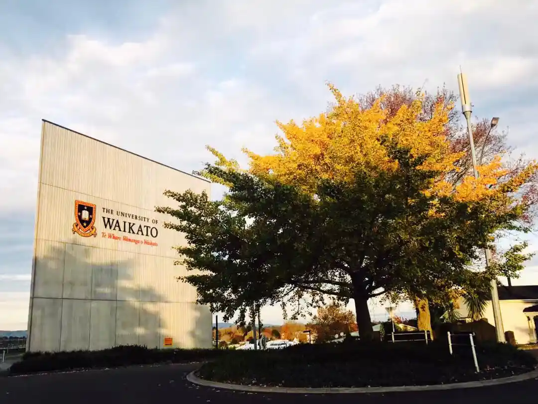 怀卡托大学心理学，学完能“读心”？我怕是学了“玄学”！