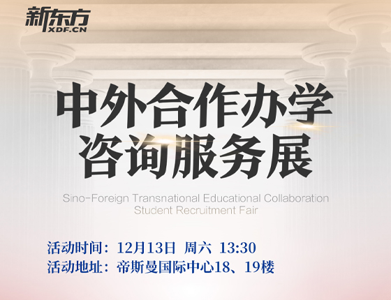 251213|中外合作办学咨询服务展
