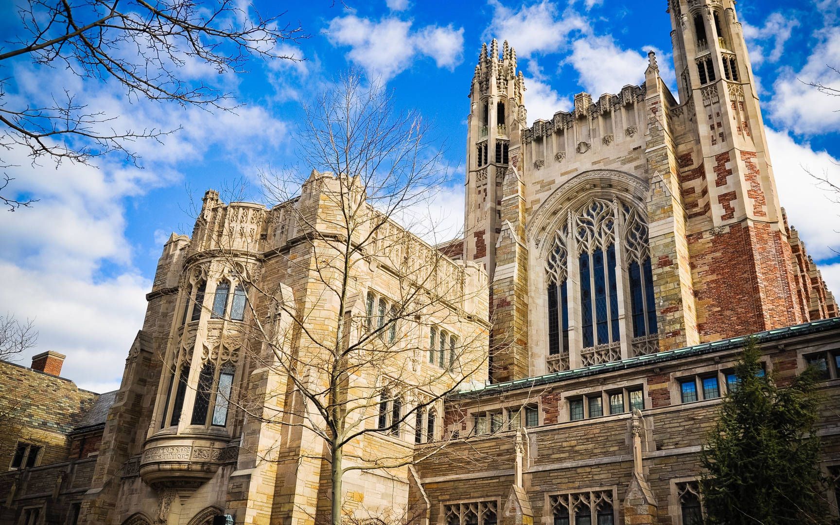 藤校毕业生专业图谱发布！社科为何碾压CS成最大赢家？