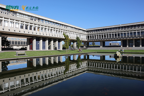 加拿大CO-OP带薪实习项目详解：哪些大学和专业提供最强就业支持？