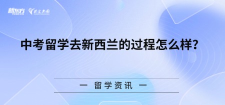 中考留学去新西兰的过程怎么样？