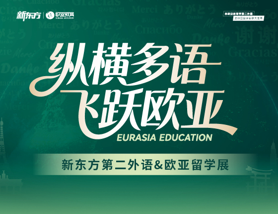 纵横多语，飞跃欧亚