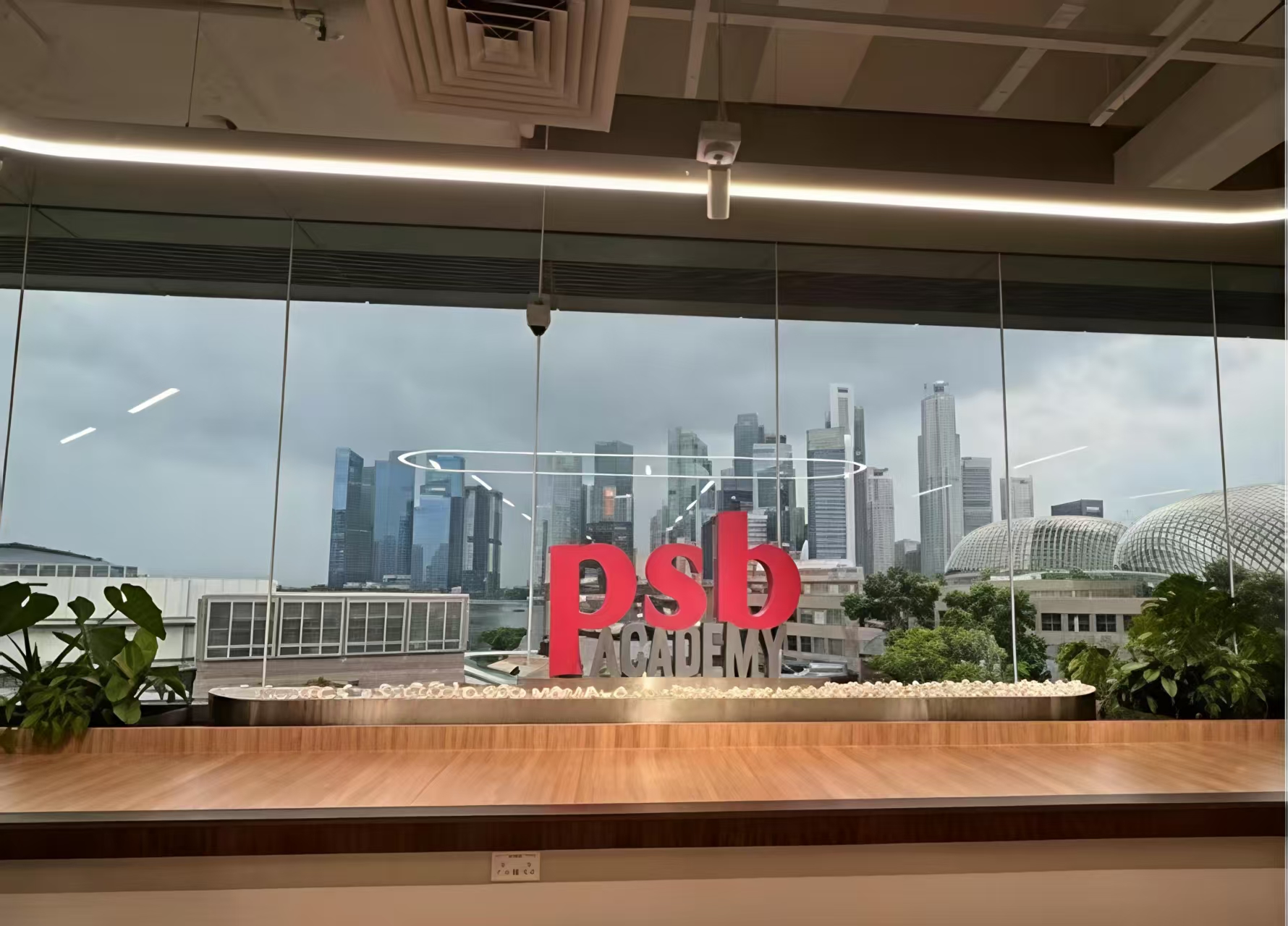 不止一条名校路！新东方新加坡预科：架起名校直通车