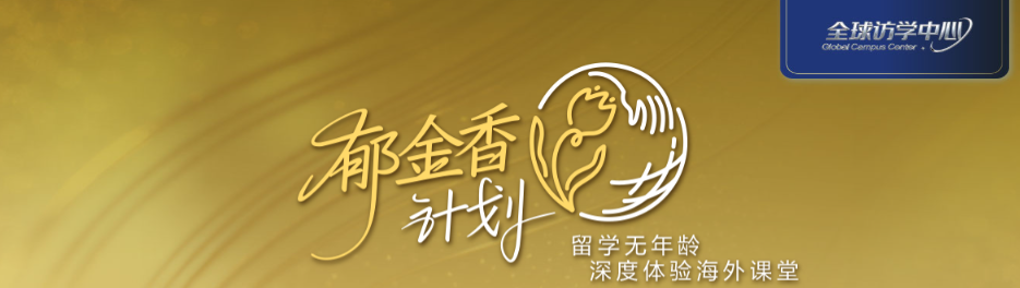 中年 “叛逆” 一次！新东方郁金香计划：放下工作，去海外课堂 “躺赢” 