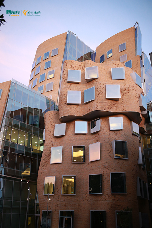 悉尼大学留学含金量及王牌专业推荐