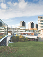 埃塞克斯大学