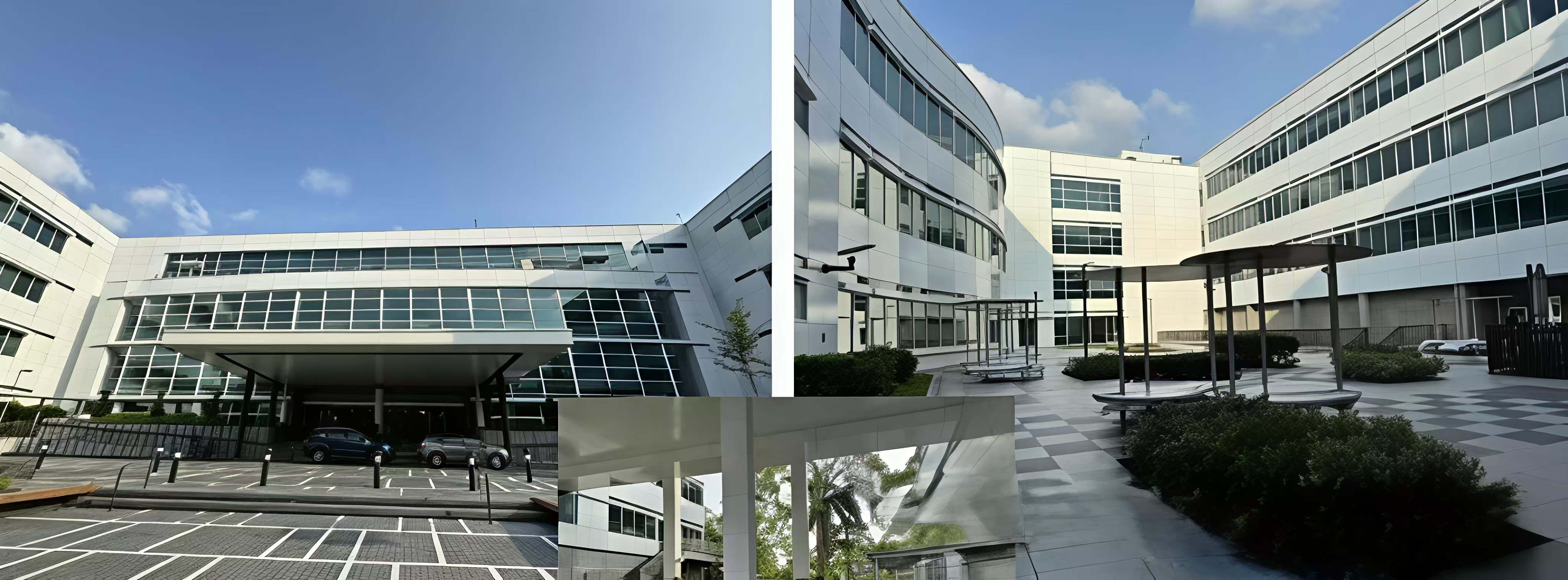 不止一条名校路！新东方新加坡预科：架起名校直通车