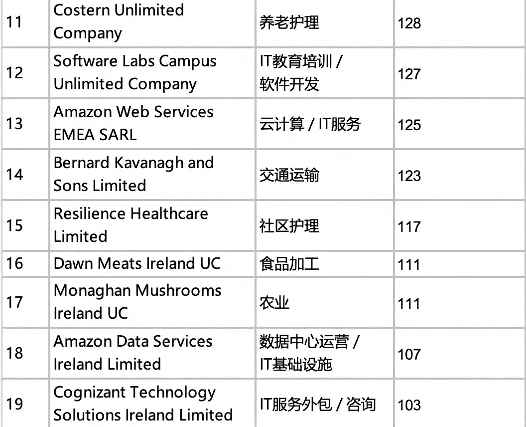 2025爱尔兰工签担保企业榜单出炉！哪些公司在招非欧盟公民且提供正式工签？