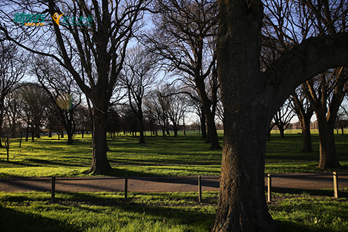 撕开升学 “死局” 的秘密：4 个孩子2年冲刺名校本科