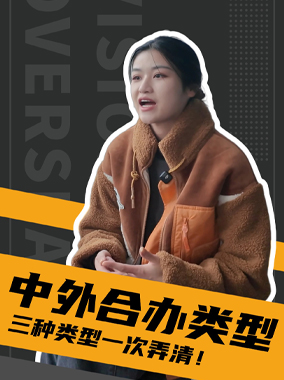 251204|中外合办的三种类型