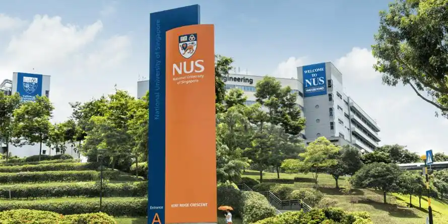 【新加坡国立大学法律专业】深度测评：亚洲法学翘楚，是否是你的“本命”？