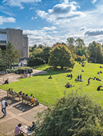 巴斯大学