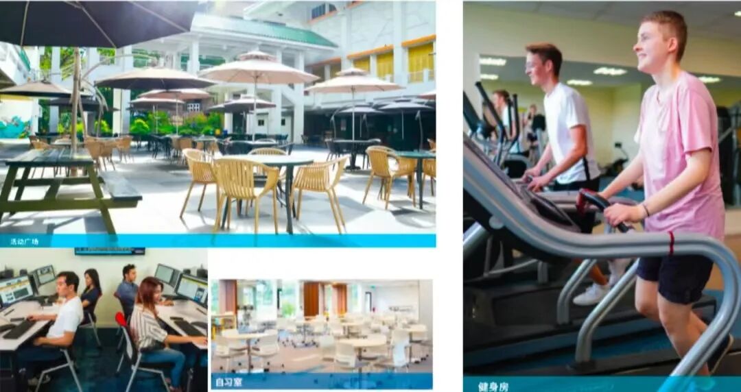 高考只剩 “陪跑”？高二生别慌！新加坡预科 3 年拿本科，家长省心还省钱！