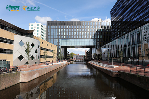 新东方Nuffic认证预科：免高考直录荷兰U类大学