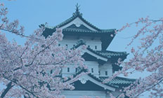 欧亚留学